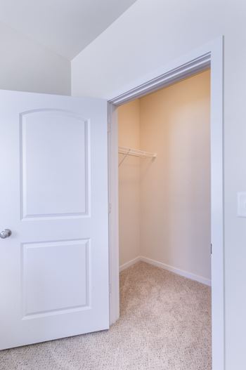 A white door is open to a small closet.